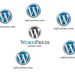 wordpress-network